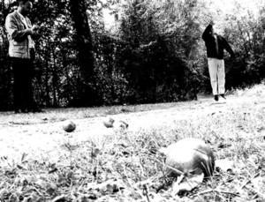 Petanque